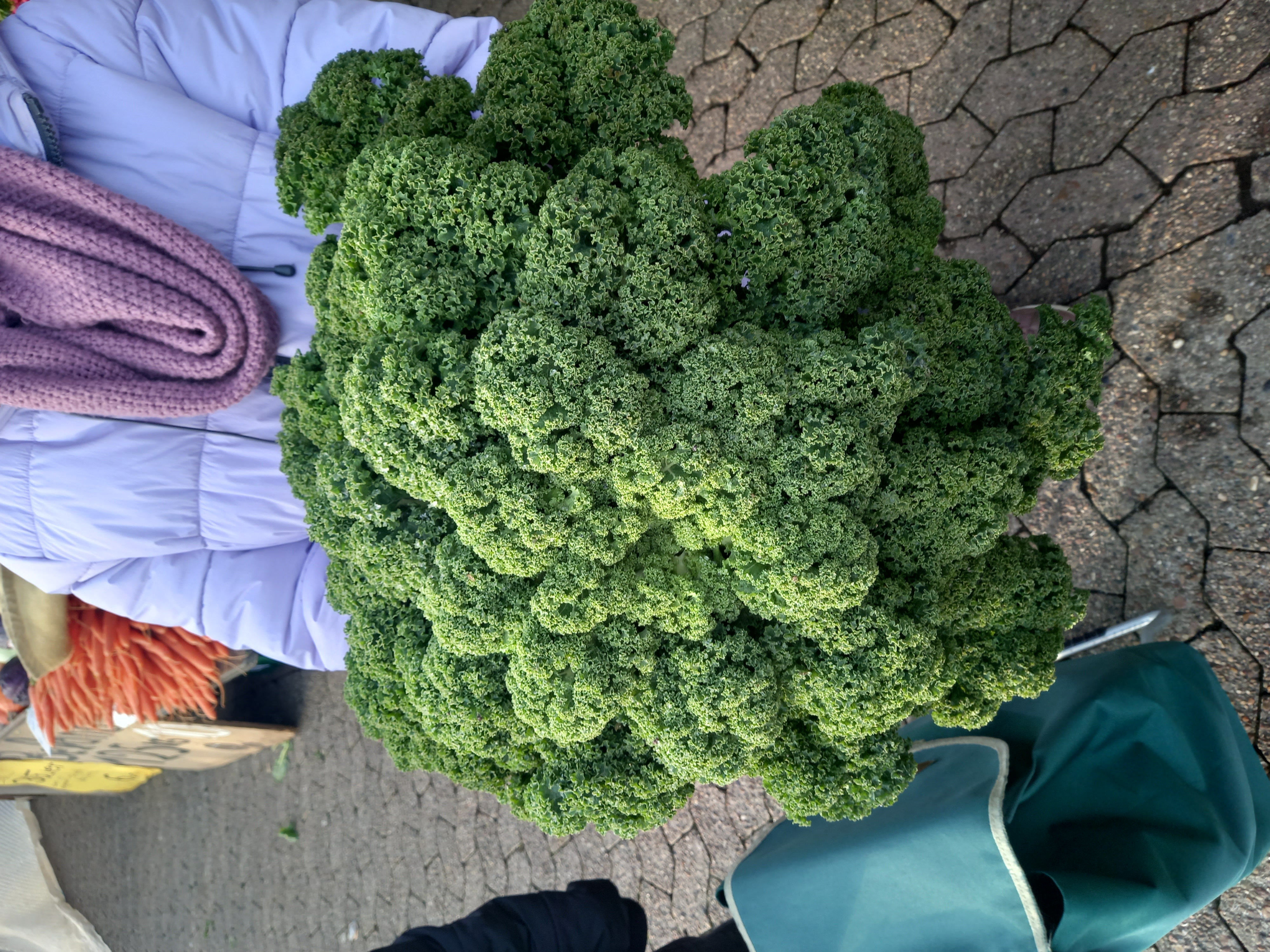 Kochmodul der Schule am Meer Kochmodul der Schule am Meer