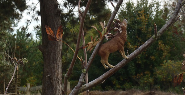 Baumhirsch Baumhirsch