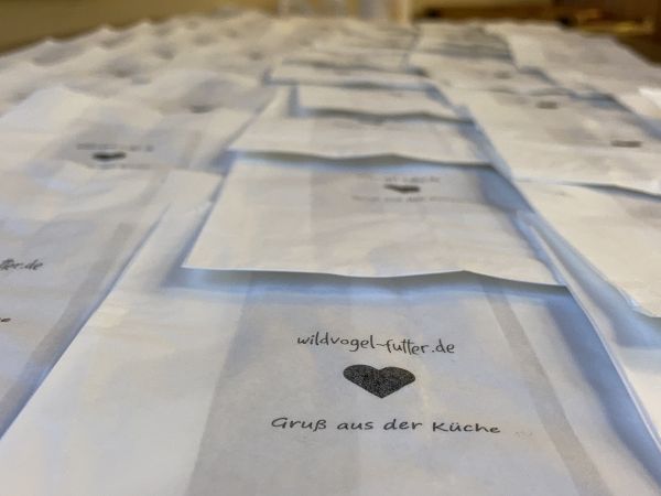 Start-Up-AG der Schule am Meer