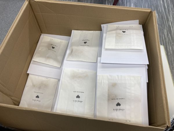 Start-Up-AG der Schule am Meer