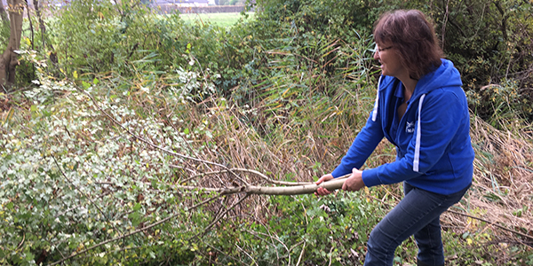 Bettina Schröder Bettina Schröder