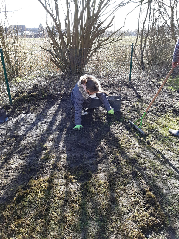 Anlegen der Wildblumenwiese Anlegen der Wildblumenwiese