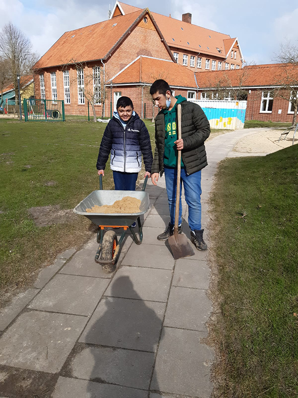 Anlegen der Wildblumenwiese Anlegen der Wildblumenwiese