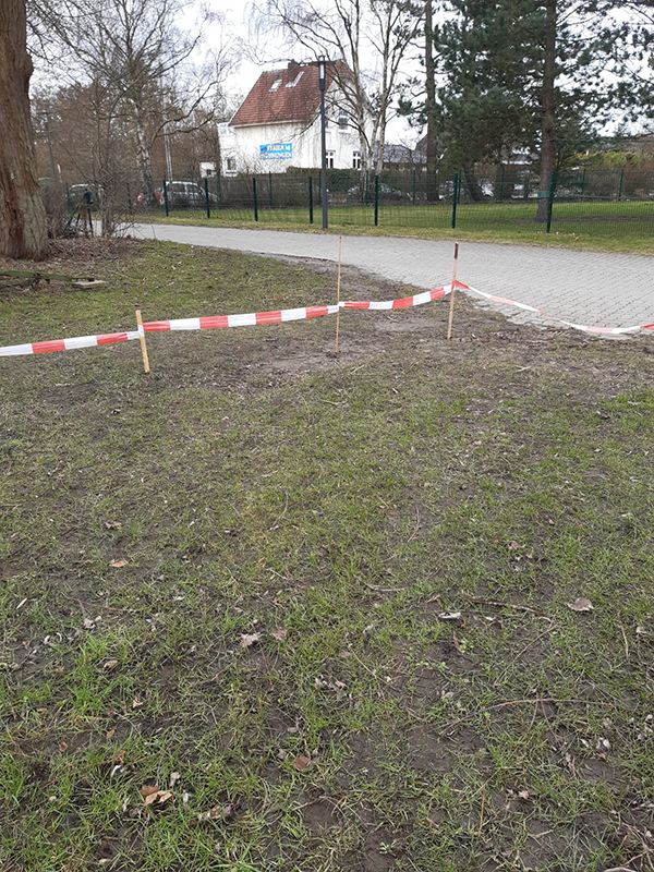 Anlegen der Wildblumenwiese Anlegen der Wildblumenwiese