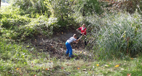 Arbeit am Biotop der Schule am Meer Arbeit am Biotop der Schule am Meer