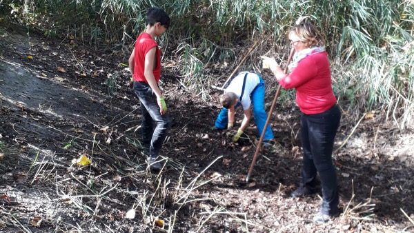 Arbeit am Biotop der Schule am Meer Arbeit am Biotop der Schule am Meer