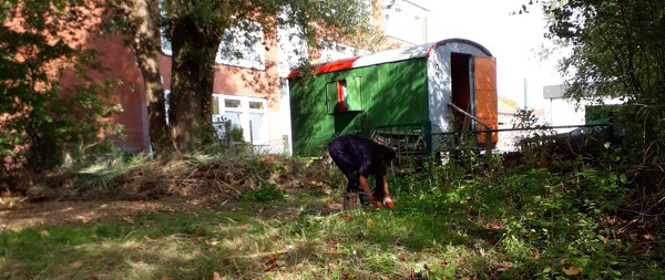 Arbeit am Biotop der Schule am Meer Arbeit am Biotop der Schule am Meer