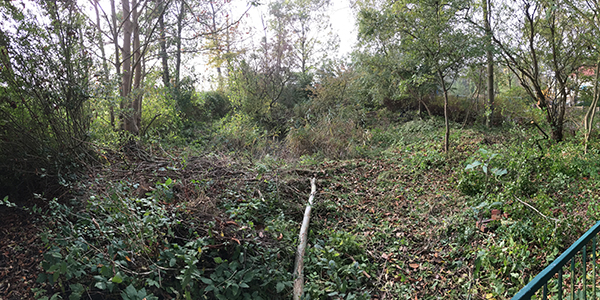 Biotop nach den ersten groben Vorbereitung Biotop nach den ersten groben Vorbereitung