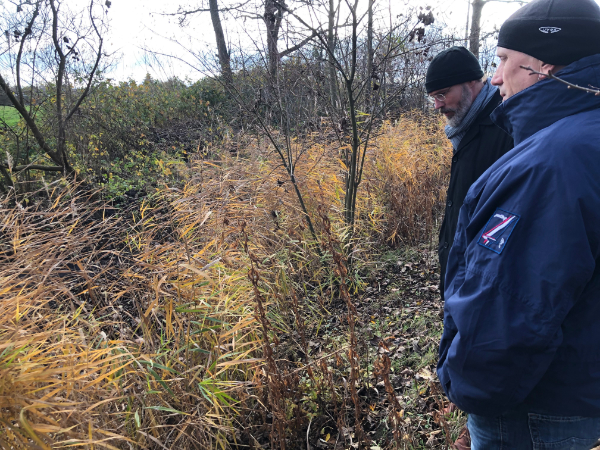 Biotop-Besichtigung mit Stefan Gocke (BBS Cuxhaven) Biotop-Besichtigung mit Stefan Gocke (BBS Cuxhaven)