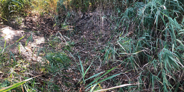 Besichtigung Biotop September 2018 Besichtigung Biotop September 2018