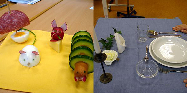 Ernährungsführerschein Ernährungsführerschein