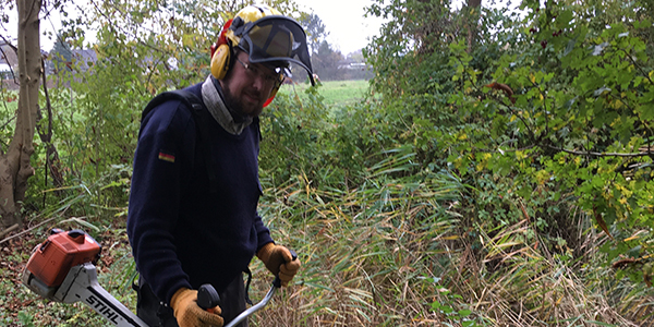 Hans Diedrich Hans Diedrich