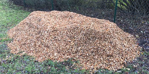 frische angelieferte Holzhackschnitzel frische angelieferte Holzhackschnitzel