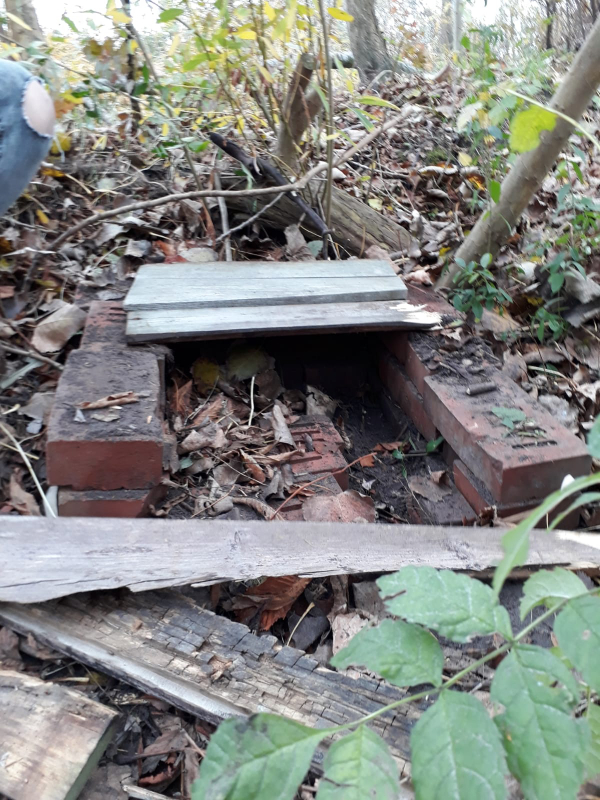 Igelhaus (Biotop-Projekt der Schule am Meer) Igelhaus (Biotop-Projekt der Schule am Meer)