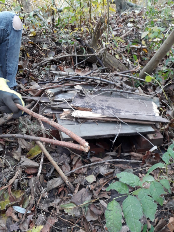 Igelhaus (Biotop-Projekt der Schule am Meer) Igelhaus (Biotop-Projekt der Schule am Meer)