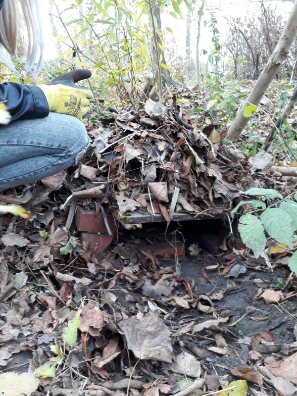 Igelhaus (Biotop-Projekt der Schule am Meer) Igelhaus (Biotop-Projekt der Schule am Meer)