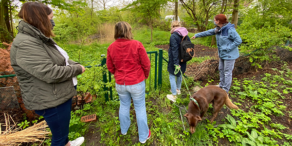 Biotop der Schule am Meer Biotop der Schule am Meer