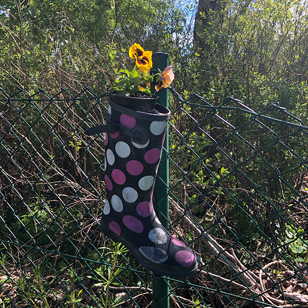 Biotop der Schule am Meer Biotop der Schule am Meer