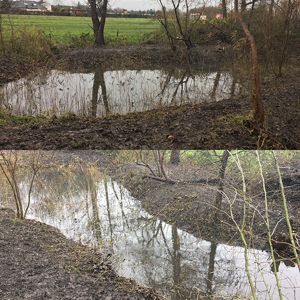 Der nun sichtbare Teich Der nun sichtbare Teich
