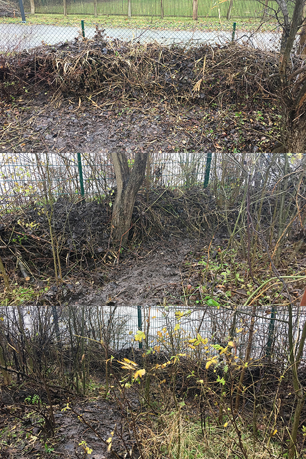 Totholzhecken als Unterschlupfmöglichkeit für Kleingetiere Totholzhecken als Unterschlupfmöglichkeit für Kleingetiere