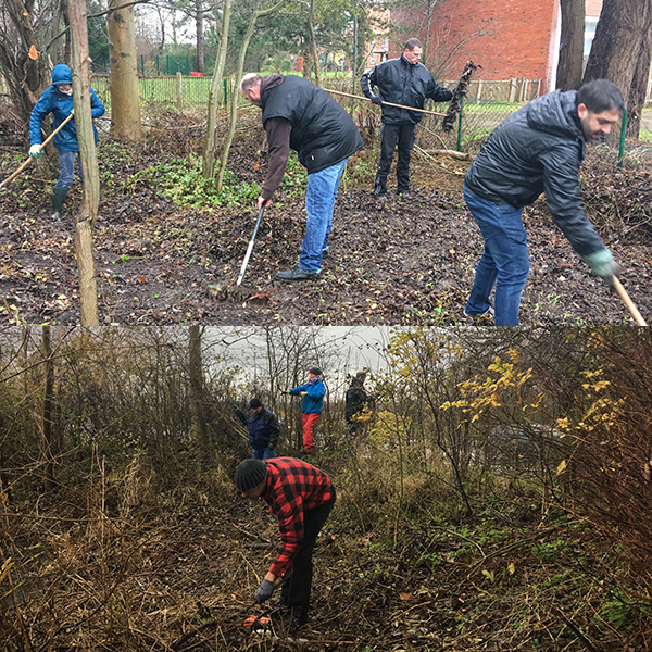 Entfernung von Laub und Unkraut Entfernung von Laub und Unkraut