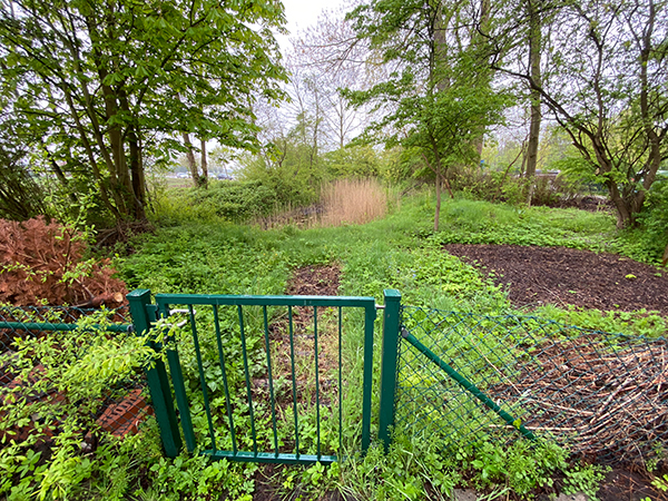 Biotop der Schule am Meer Biotop der Schule am Meer