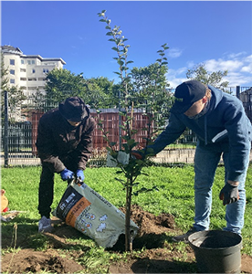 Klasse 11b der Schule am Meer