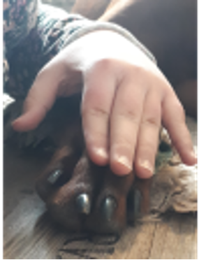 Logopädie der Schule am Meer Logopädie der Schule am Meer